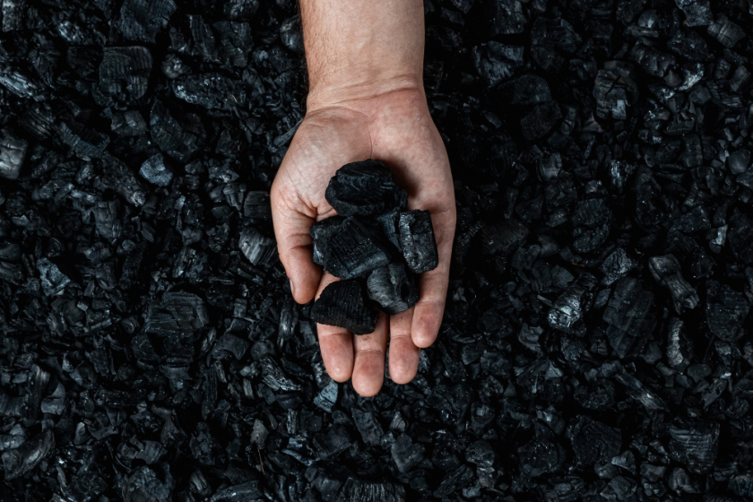 فحم جوز الهند يستخدم في حفلات الشواء