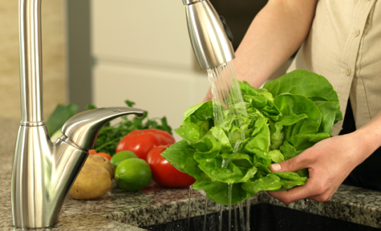 pengolahan makanan lebih higienis