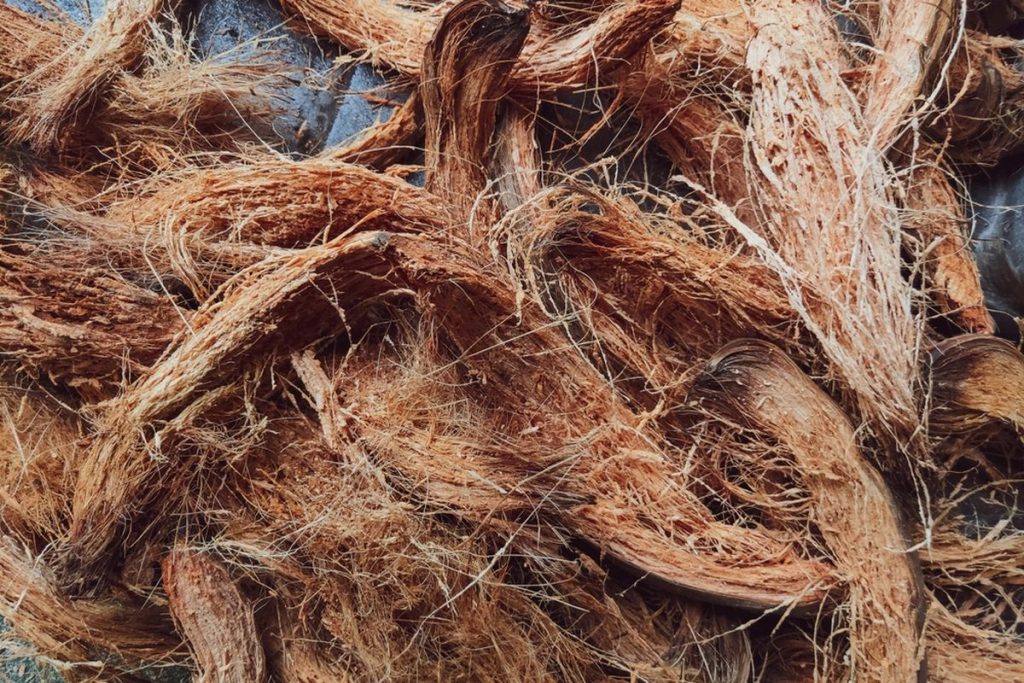 sabut kelapa sebagai sumber energi karbon netral