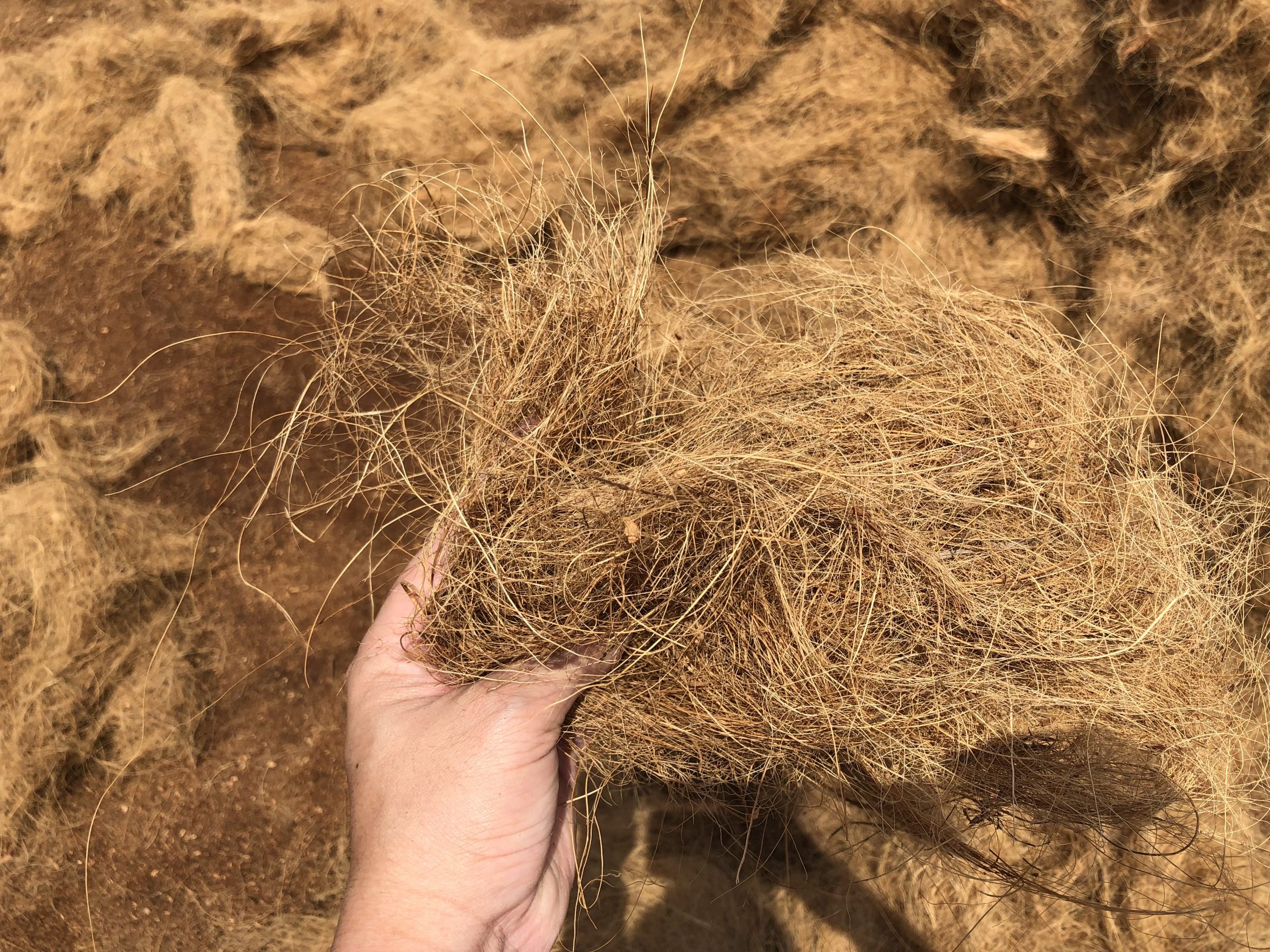 Mesin Pembuat Bal Sabut Kelapa