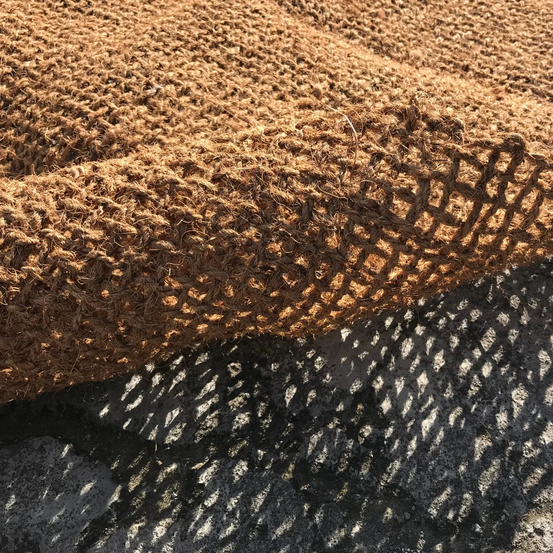 Proyek Green Innovation Siswa Menggunakan Cocomesh