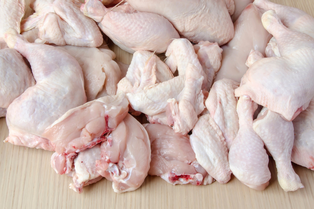 Keuntungan Usaha Ayam Potong Modern yang Menguntungkan dan Efisien untuk Peluang Bisnis Masa Kini